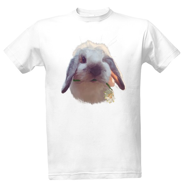 králík a bledule