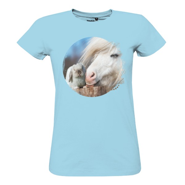 králík a kůň