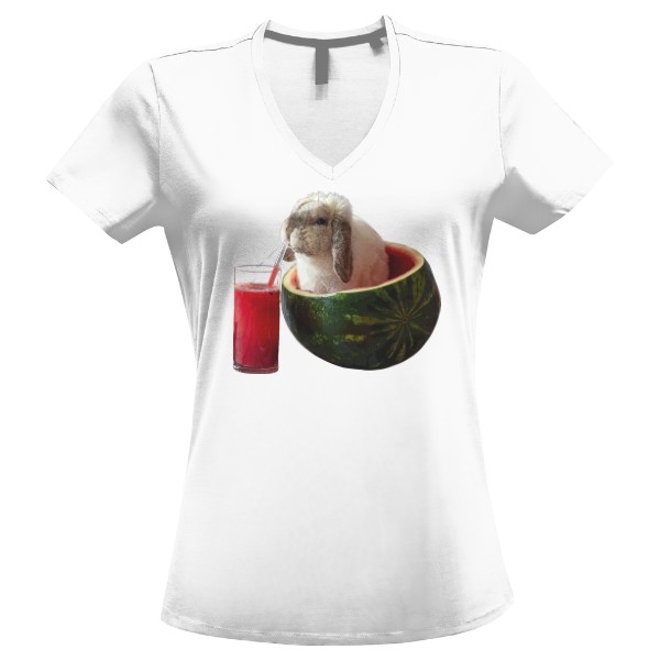 Tričko s potiskem Králík a meloun