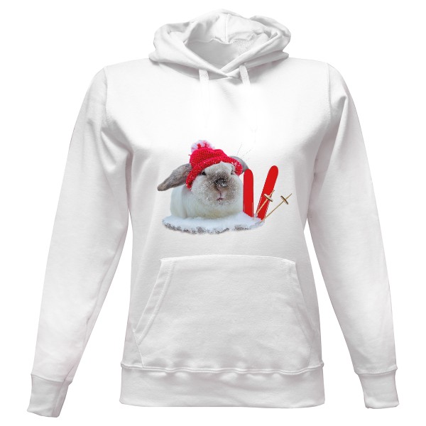králík na lyžích